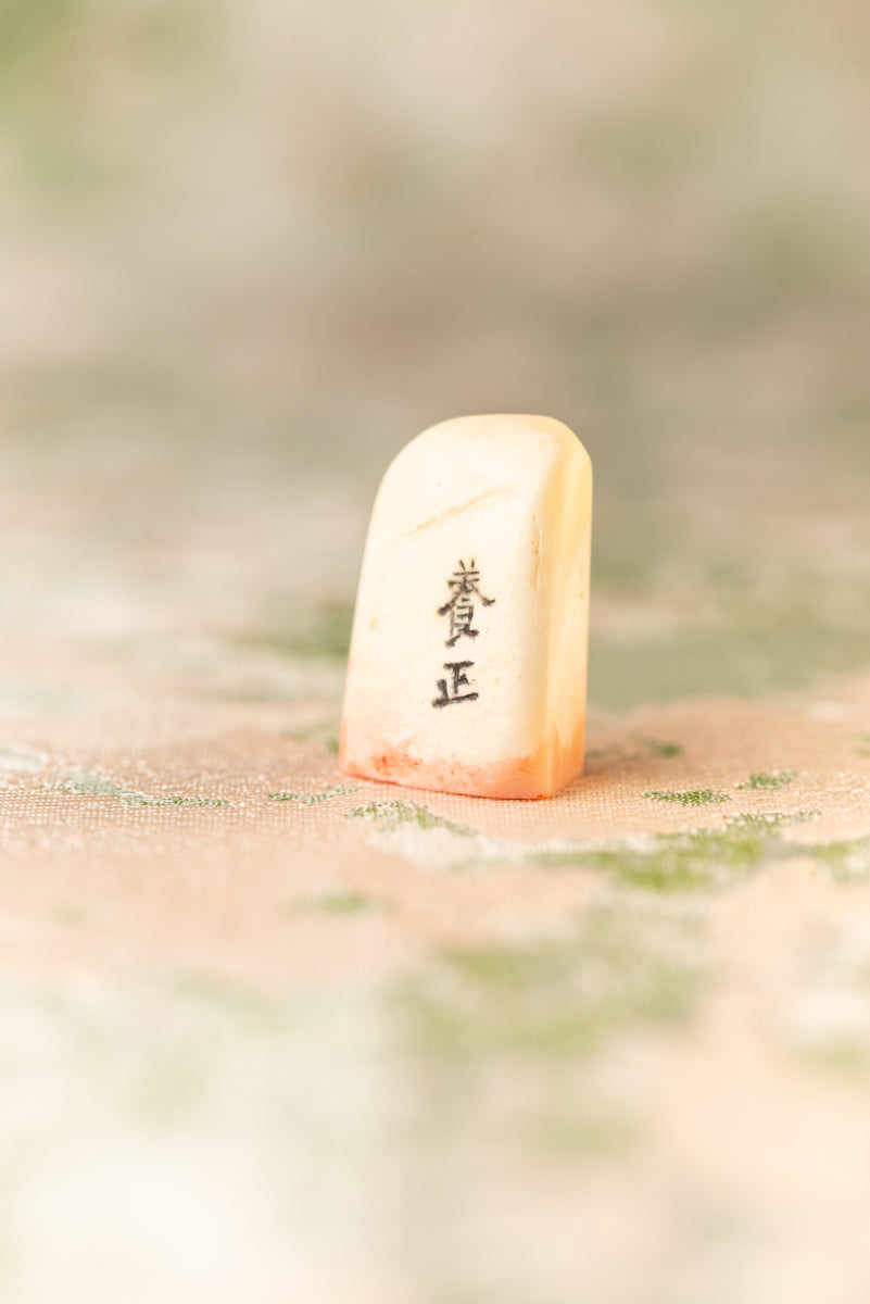 篆刻作品【養正】 遊印